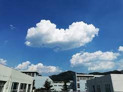 韦德国际
照片2